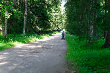 Fototapeta premium Woman with a pram strolls in the forest