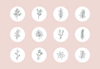 Feminine flower story highlight covers. Abstract botanical line leaf branch icons for social media boho style. Vector illustration