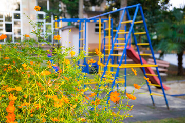 Beautiful summer flowers on children's playground backdrop