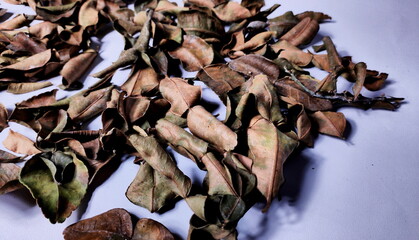 picture of dried kaffir leaves 