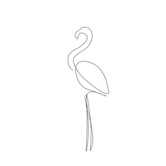 Flamingo bird drawing on white background, vector illustration