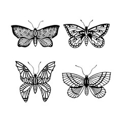 Obraz na płótnie Canvas collection of butterflies. JPG