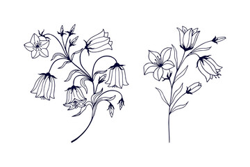 A set of flower bells. eps10 vector stock illustration. hand drawing. JPG