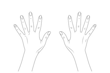 hands isolated on white. JPG