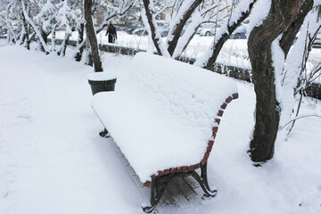  City Park in winter. The trees and everything around are covered with white fluffy snow.