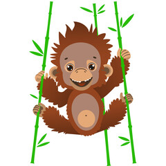 A cute baby orangutan hangs on bamboo stalks. Fauna of the rain forests of Asia. Vector illustration. Cartoon style. © Yuliya Marholina