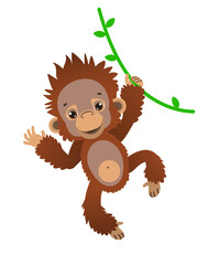 A cute baby orangutan sways on a liana. Fauna of the rain forests of Asia. Vector illustration. Cartoon style.