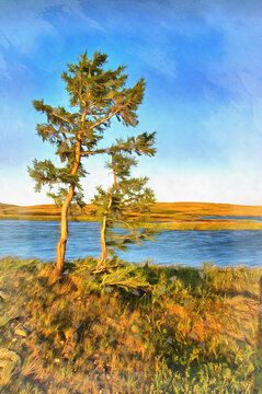 Beautiful tundra landscape with river and lonely tree at Polar Urals