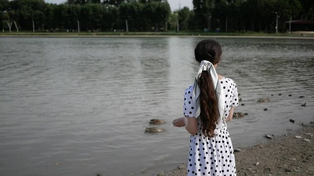 young beautiful woman in long dress feeds ducks on lake. summer. view from back