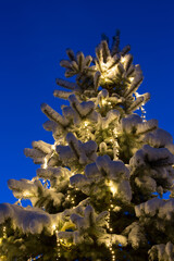 Snow covered pine tree detail outside in black hour, with lights and x-mas ornaments.