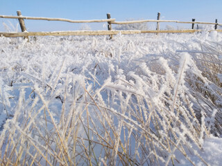 snow covered fence and grass