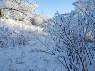 frosty grass texture background winter snow