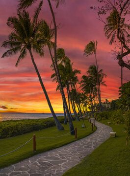 boardwalk in Hawaii during sunset