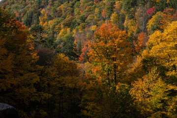 Fototapeta premium Katerskill mountain