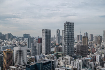Fototapeta na wymiar Tokyo Skyline from Kachidoki in Chuo-Ku