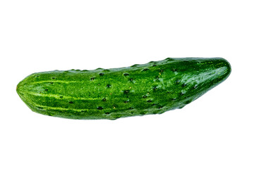 Ripe cucumber isolated on the white background