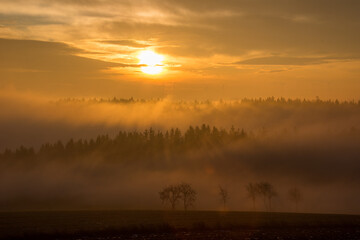 Sonnenaufgang im Herbstnebel