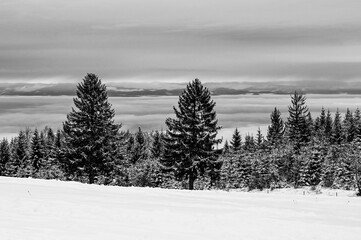 Winterlandschaft in den Bergen