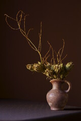 Beautiful arrangement whit dried fruit of hibiscus syriacus