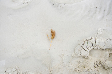 Sand texture background photo.