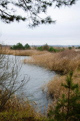 Winter landscape. Lake in the forest.