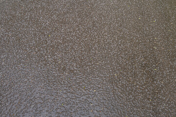 Fototapeta premium abstract background of wet asphalt texture after rain with hail close up