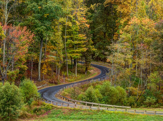 winding road through forest with fall colors
