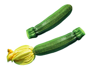 two young green flowering zucchini isolated on a white background
