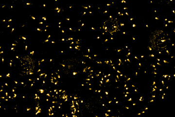 Blurry colored Christmas holiday lights on a black background.