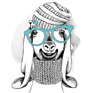 Goat portrait in a glasses with knitted hat and scarf. Vector illustration.