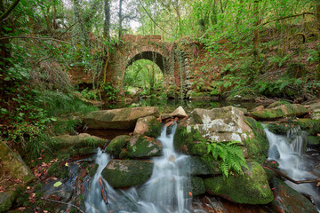 Old stone bridge over a beautiful river that runs through a lush forest.