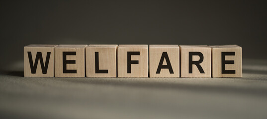 A wooden blocks with the word WELFARE written on it on a gray background.