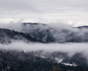 winter autumn fog mountains tree