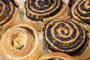puff pastry with poppy seeds on a plate. close up view. various of a tasty pastry. homemade baking concept. background backdrop. studio shot