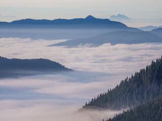 Above the clouds at Mount Baker Wilderness