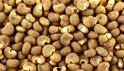 Closeup on Ambtrette Seed Background.