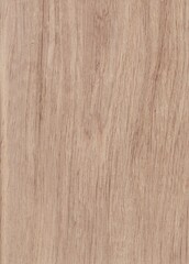 The texture of freshly cut wood. Annual rings and cracks in the old tree. Horizontal  wooden background. Texture in high resolution. Color image.