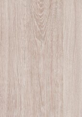 The texture of freshly cut wood. Annual rings and cracks in the old tree. Horizontal  wooden background. Texture in high resolution. Color image.