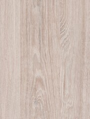 Fototapeta premium The texture of freshly cut wood. Annual rings and cracks in the old tree. Horizontal wooden background. Texture in high resolution. Color image.