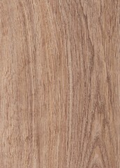 The texture of freshly cut wood. Annual rings and cracks in the old tree. Horizontal  wooden background. Texture in high resolution. Color image.