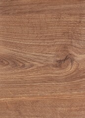 The texture of freshly cut wood. Annual rings and cracks in the old tree. Horizontal  wooden background. Texture in high resolution. Color image.