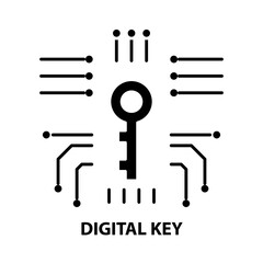 digital key icon, black vector sign with editable strokes, concept illustration