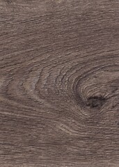 The texture of freshly cut wood. Annual rings and cracks in the old tree. Horizontal  wooden background. Texture in high resolution. Color image.