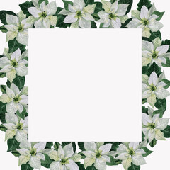 Watercolor rectangular frame made of white poinsettia flowers. use for postcards, weddings, Wallpaper, textiles, scrapbooking, decoration, invitations, background, holiday.