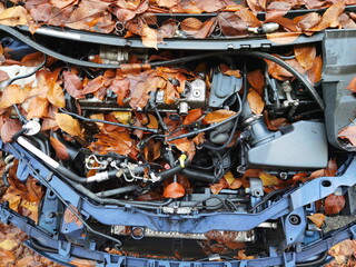 motore sporco di un auto, dirty engine of a car