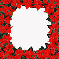 Watercolor frame made of red poinsettia flowers . Suitable for Christmas cards, weddings, Wallpaper, textiles, scrapbooking, decoration, invitations, background, holiday.