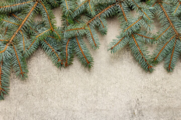 Border of Christmas tree branches on grey stone background
