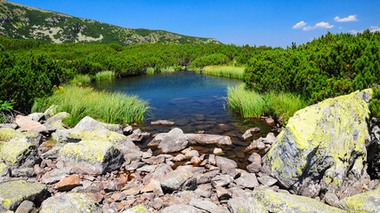 A glacial lake in Galcescu Cauldron. Mountain pine bushes surround the water luster. Parang Mountains, Carpathia, Romania