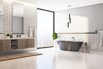 Modern bathroom interior with bath