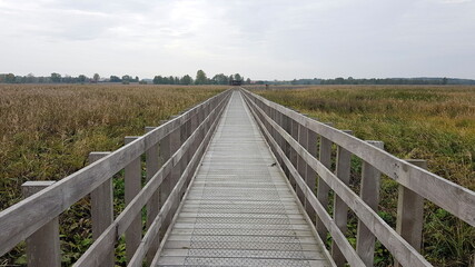 Fototapeta na wymiar Footbridge among the swamps (Śliwno and Waniewo, Podlaskie, Poland) 